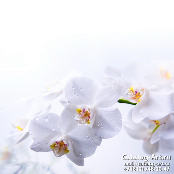 картинки для фотопечати на потолках, идеи, фото, образцы - Потолки с фотопечатью - Белые орхидеи 52